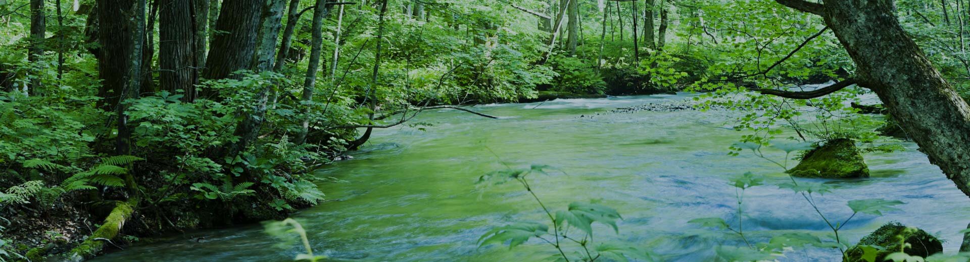 セントラル浄水器アクアス５／浄水性能