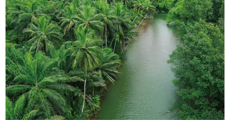 人に寄り添い地球にもやさしさを