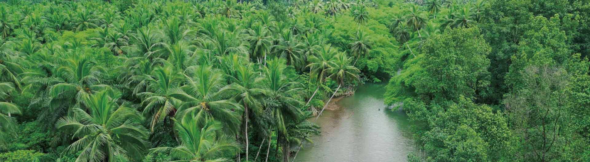 人に寄り添い地球にもやさしさを